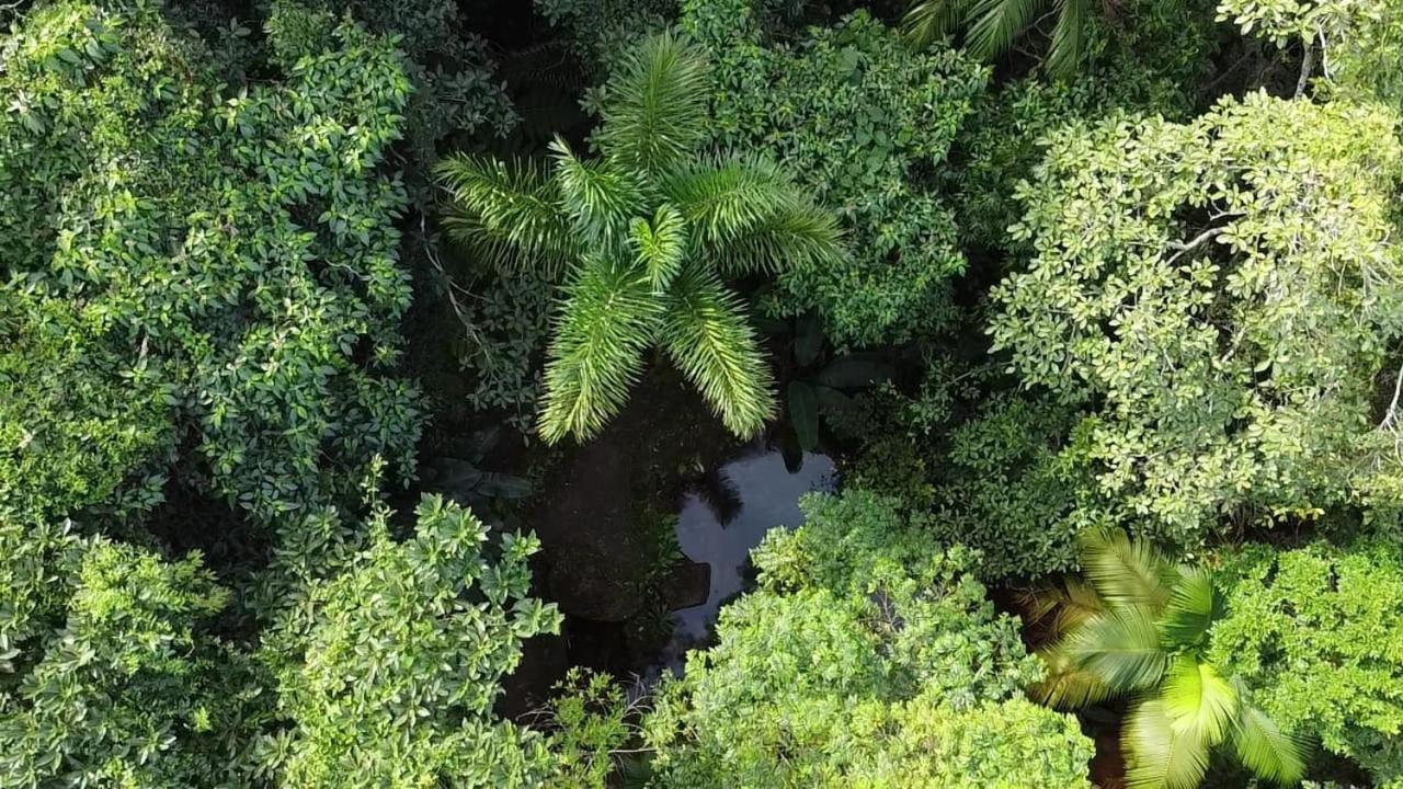 Espaco Indio Tupi Trindade  Luaran gambar